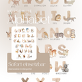 ABC- Poster