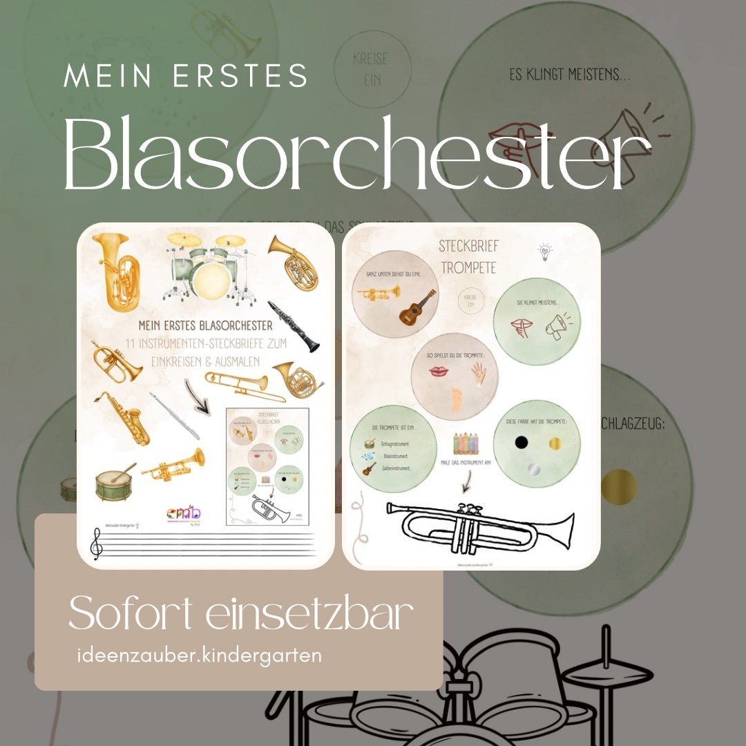 Mein erstes Blasorchester! Steckbrief-Bunde von 11 Instrumenten