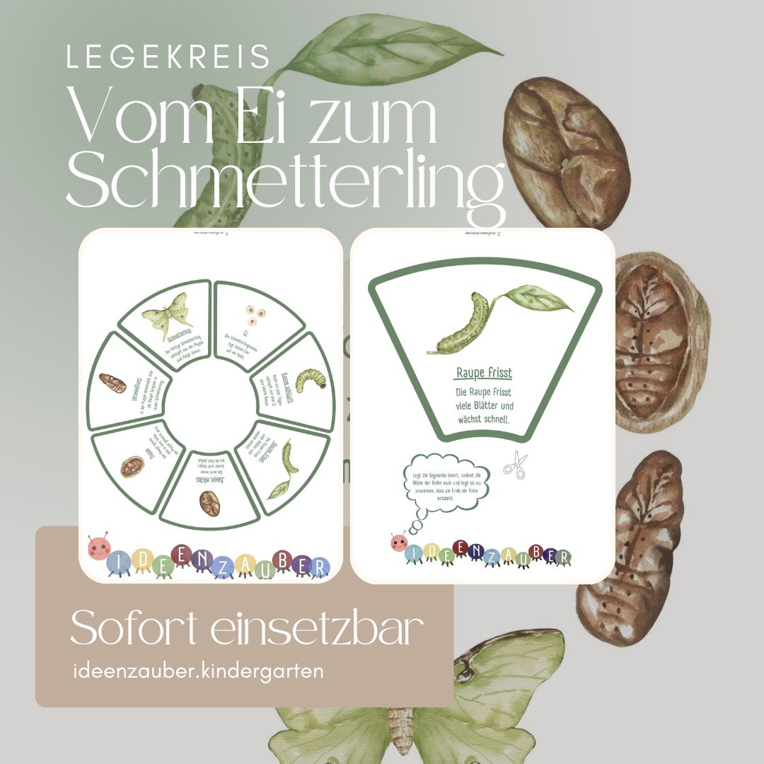 Legekreis: Vom Ei zum Schmetterling