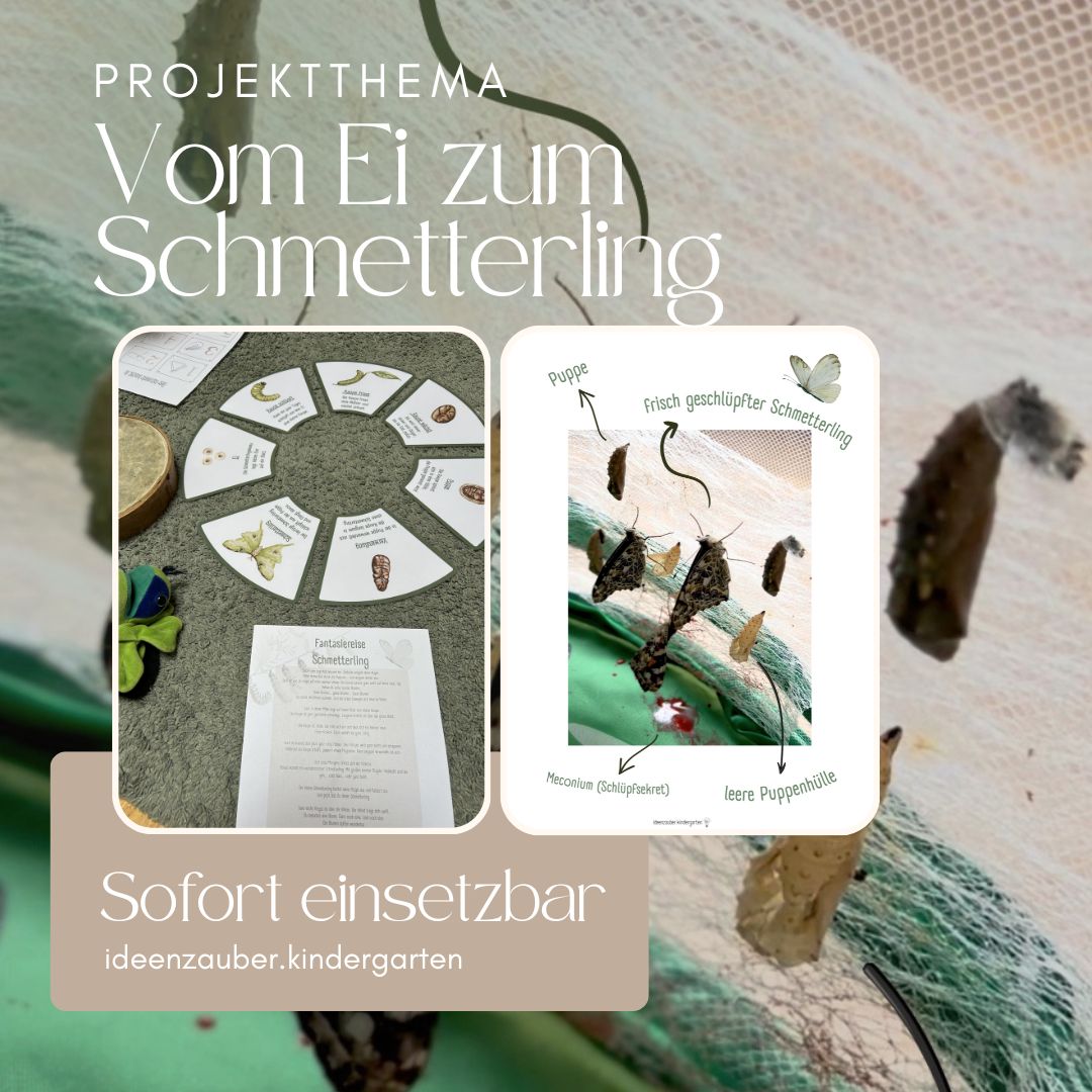 PROJEKT Thema "Vom Ei zum Schmetterling" Komplettpaket