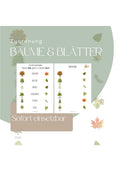 Bäume & Blätter. Zuordnungsaufgabe. Natur & Wald.