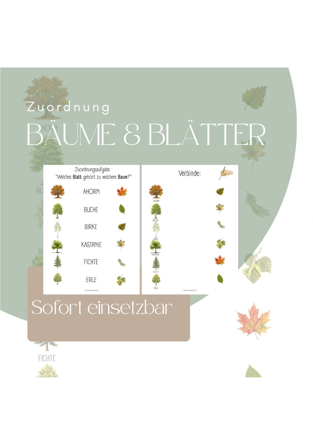 Bäume & Blätter. Zuordnungsaufgabe. Natur & Wald.